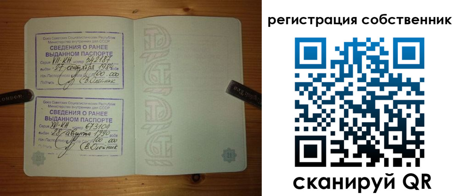 временная регистрация гарантия в Михайловке